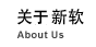 关于新软